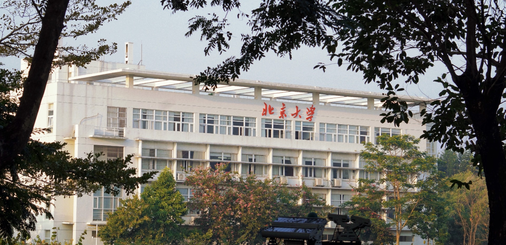 北国风骨岭南春 一窗清樾见燕深