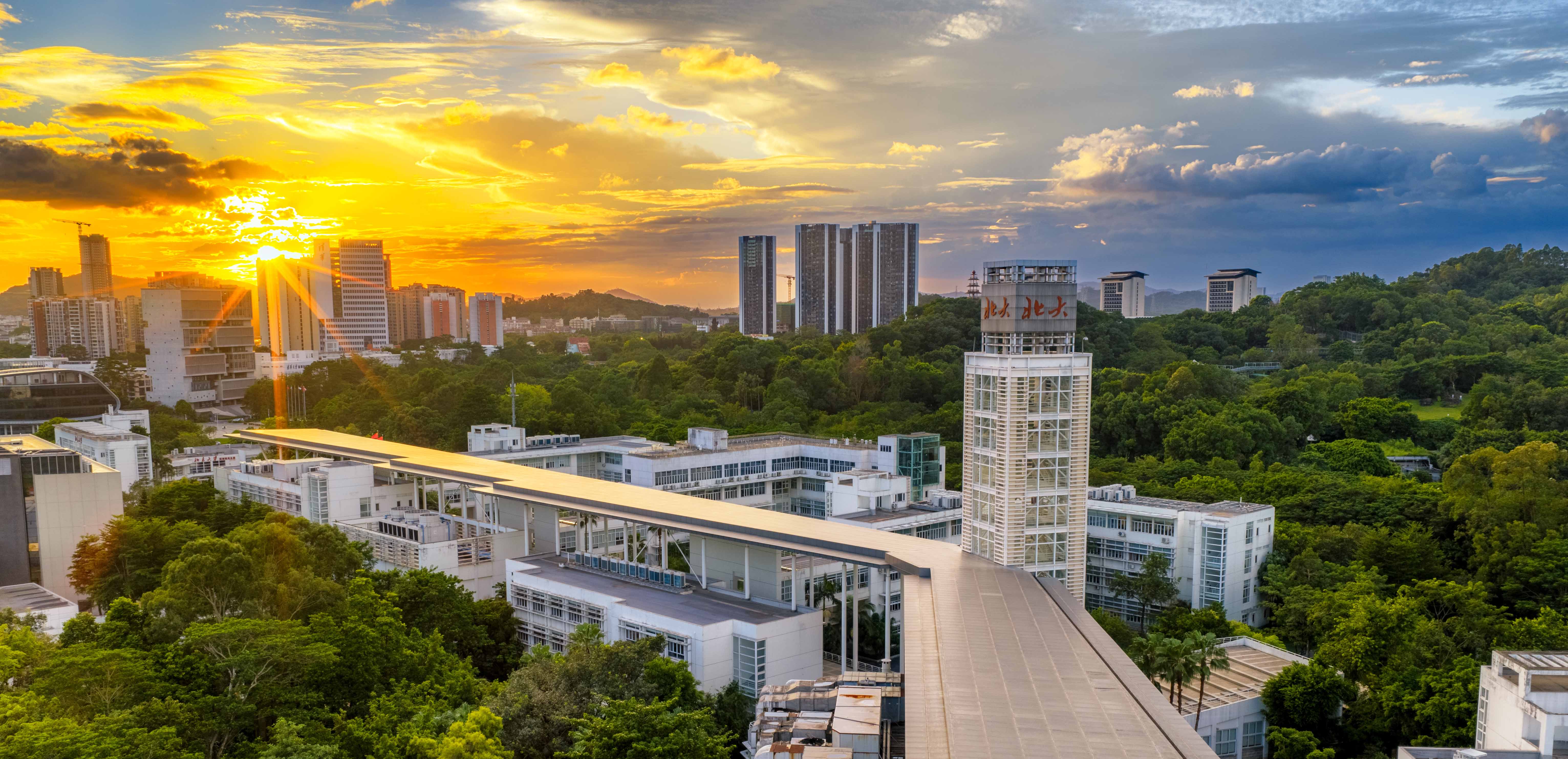 南燕园熹微破雾，书窗先揽一庭春